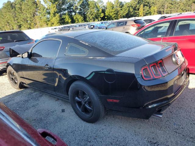 1ZVBP8AM9E5273059 - 2014 FORD MUSTANG BLACK photo 2