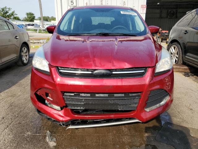 1FMCU0GX9EUE50505 - 2014 FORD ESCAPE SE BURGUNDY photo 5