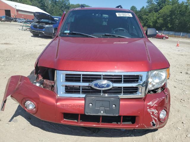 1FMCU9DG7CKA61671 - 2012 FORD ESCAPE XLT RED photo 5