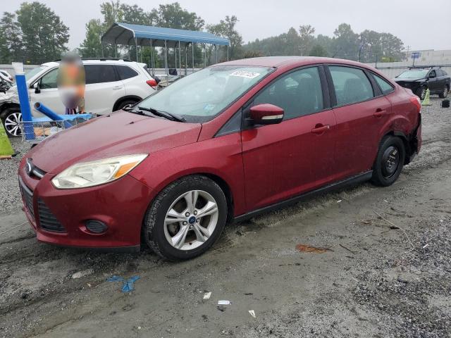 2014 FORD FOCUS SE, 