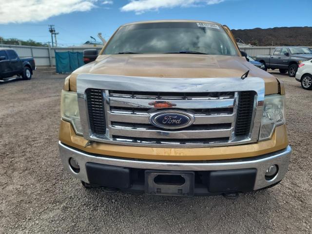 1FTRW14899FA18695 - 2009 FORD F150 SUPERCREW GOLD photo 5