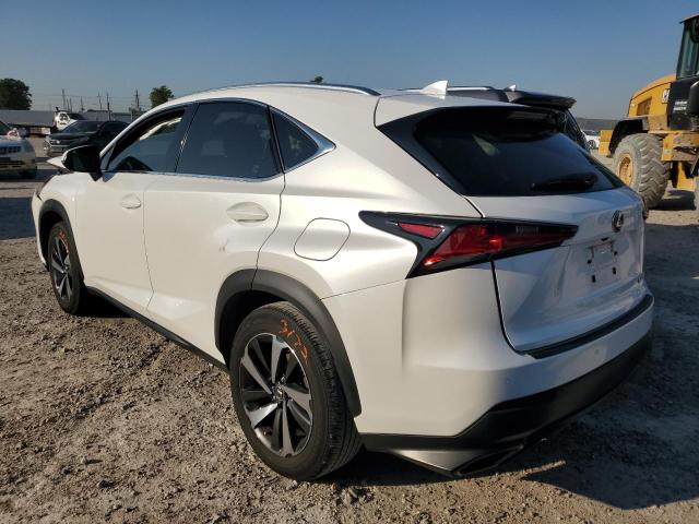 JTJYARBZ2K2152530 - 2019 LEXUS NX 300 BASE Ağ foto 2