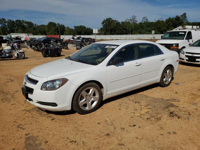 1G1ZA5EU4CF398546 - 2012 CHEVROLET MALIBU LS WHITE photo 1