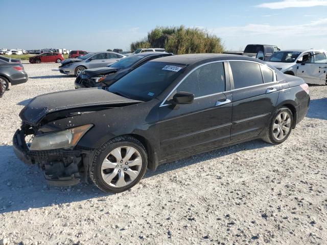 2009 HONDA ACCORD EXL, 