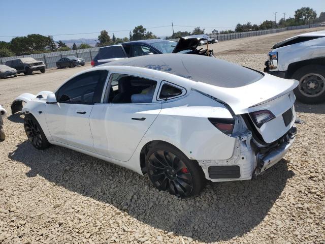 5YJ3E1EC0PF494539 - 2023 TESLA MODEL 3 Ağ foto 2