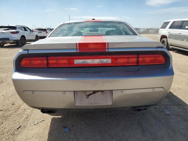 2C3CDYAG0EH139872 - 2014 DODGE CHALLENGER SXT SILVER photo 6