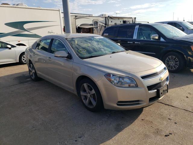 1G1ZC5EU9BF109251 - 2011 CHEVROLET MALIBU 1LT GOLD photo 4