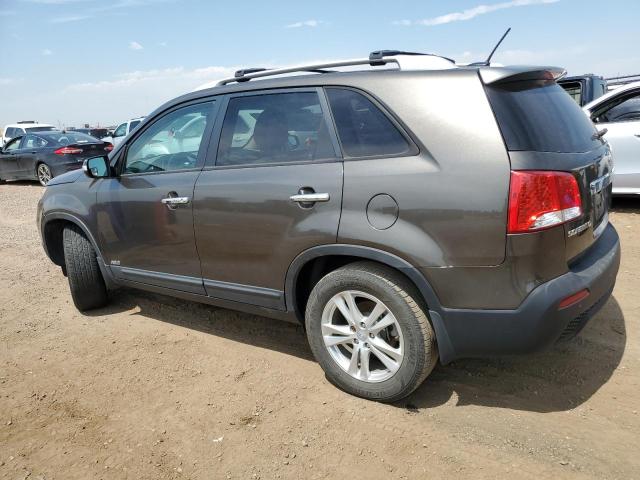 5XYKUDA24DG410949 - 2013 KIA SORENTO EX 棕色 照片 2