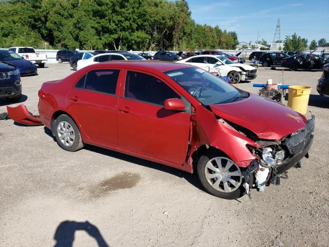 2T1BU4EE8AC379054 - 2010 TOYOTA COROLLA BASE Rouge photo 4