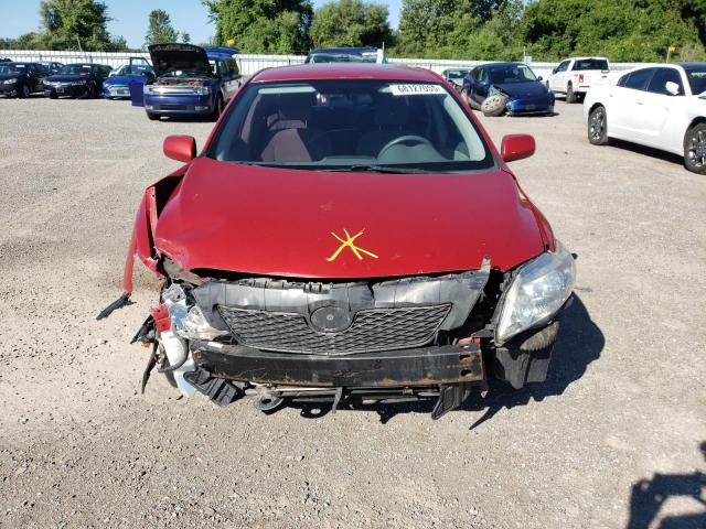 2T1BU4EE8AC379054 - 2010 TOYOTA COROLLA BASE Rouge photo 5