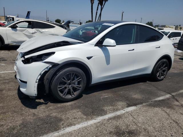 2025 TESLA MODEL Y, 
