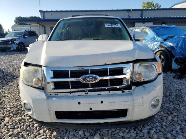 1FMCU0E76BKA73805 - 2011 FORD ESCAPE LIMITED WHITE photo 5