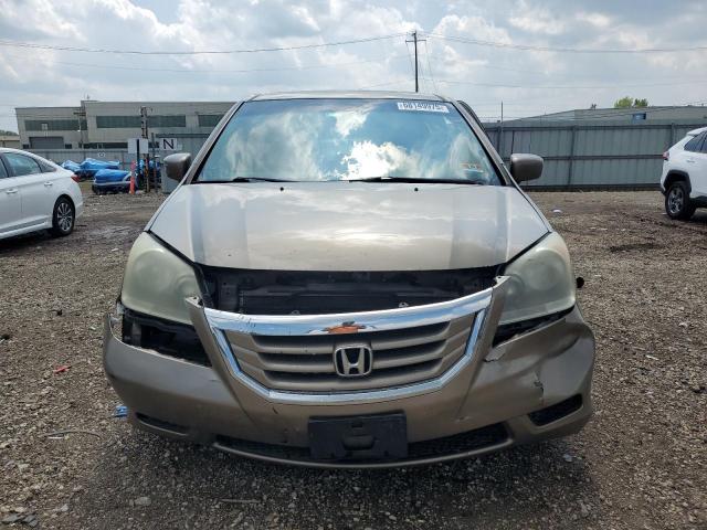 5FNRL38649B409111 - 2009 HONDA ODYSSEY EXL GOLD photo 5
