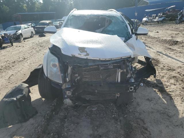 3GYFNEE38CS609579 - 2012 CADILLAC SRX PERFORMANCE COLLECTION Blanco foto 5