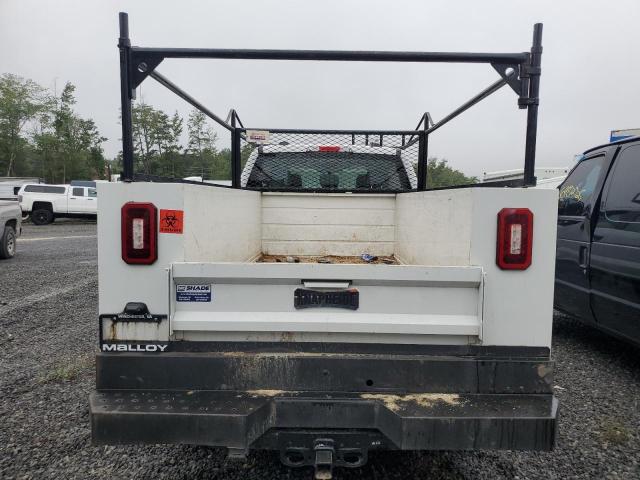 1FT7W2BA0RED89835 - 2024 FORD F250 SUPER DUTY თეთრი ფოტო 6