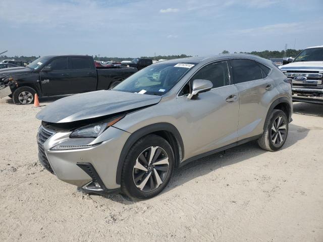 JTJYARBZ8K2135635 - 2019 LEXUS NX 300 BASE Boz foto 1