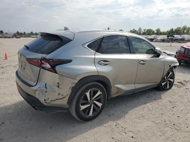 JTJYARBZ8K2135635 - 2019 LEXUS NX 300 BASE GRAY photo 3