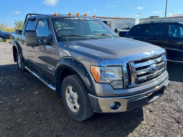 2011 FORD F150 SUPERCREW, 