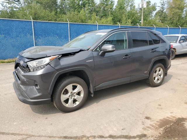 2019 TOYOTA RAV4 XLE, 