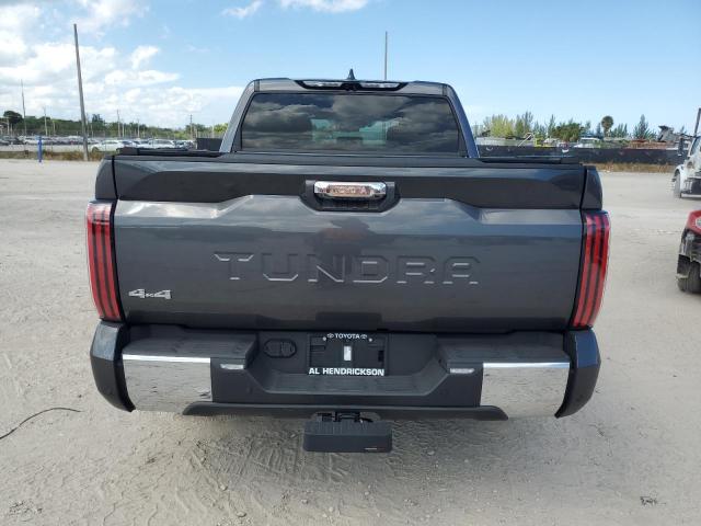 5TFMA5DB1PX080577 - 2023 TOYOTA TUNDRA CREWMAX PLATINUM Schwarz Foto 6