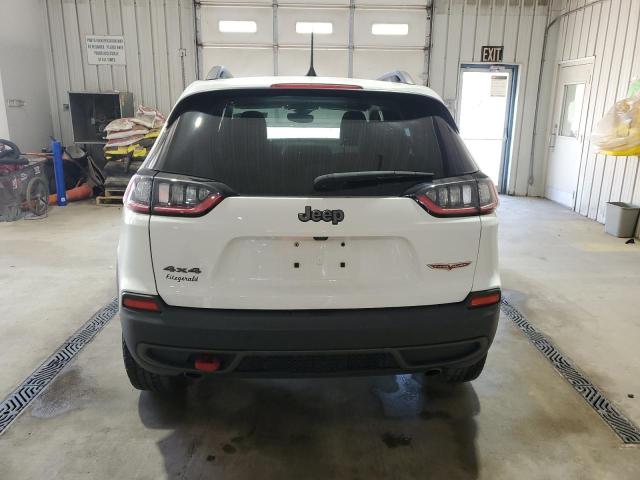 1C4PJMBX0LD624598 - 2020 JEEP CHEROKEE TRAILHAWK WHITE photo 6