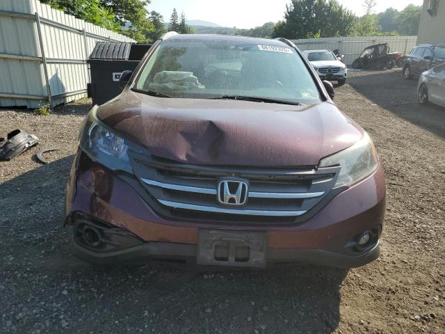 5J6RM4H74EL031093 - 2014 HONDA CR-V EXL Bordeaux Foto 5