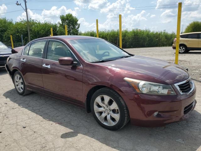 1HGCP36829A013168 - 2009 HONDA ACCORD EXL MAROON photo 4