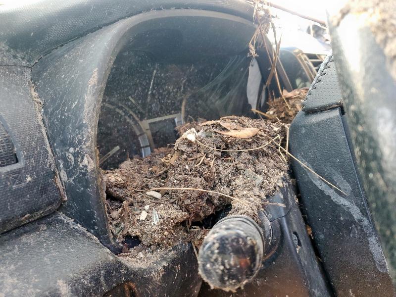 JTEBU5JR8J5574062 - 2018 TOYOTA 4RUNNER SR5/SR5 PREMIUM BLACK photo 9