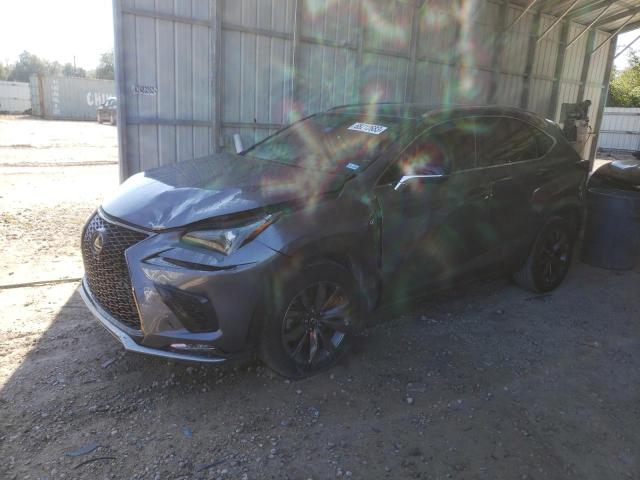JTJYARBZ7J2102737 - 2018 LEXUS NX 300 BASE Boz foto 1