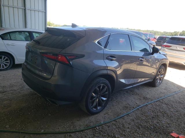 JTJYARBZ7J2102737 - 2018 LEXUS NX 300 BASE Boz foto 3