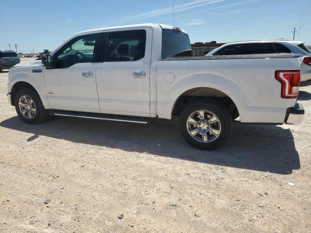 1FTEW1CP4GKF81178 - 2016 FORD F150 SUPERCREW WHITE photo 2