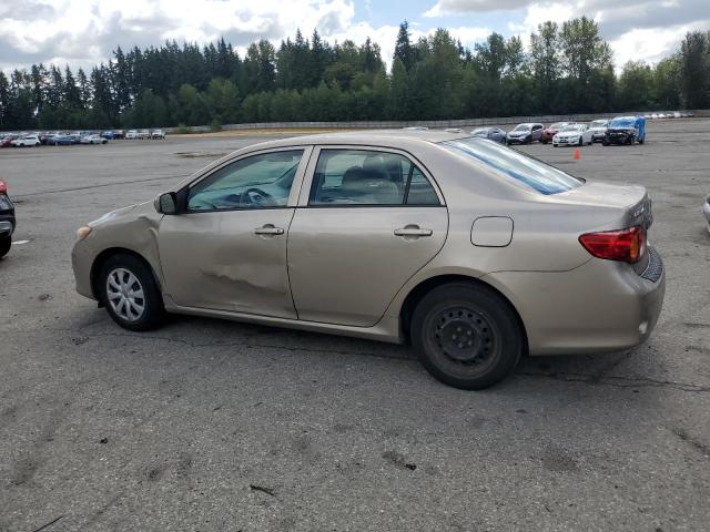 1NXBU4EE0AZ190672 - 2010 TOYOTA COROLLA BASE Բեժ լուսանկար 2