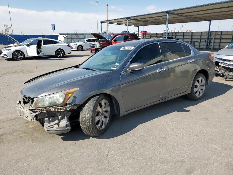 2010 HONDA ACCORD EXL, null