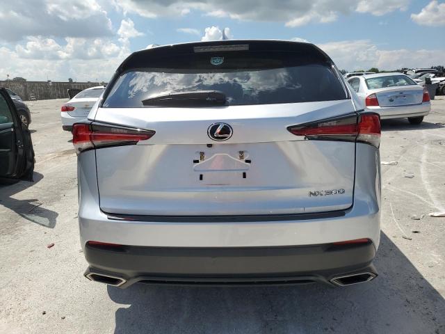 JTJYARBZ5K2146771 - 2019 LEXUS NX 300 BASE Gümüş foto 6