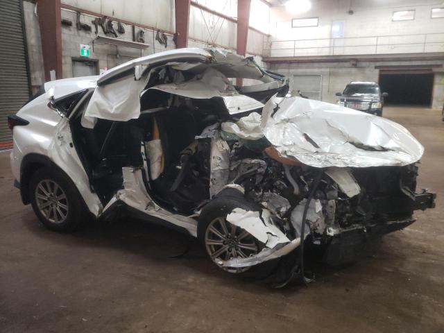 JTJAARDZ3L5018138 - 2020 LEXUS NX 300 BASE თეთრი ფოტო 4