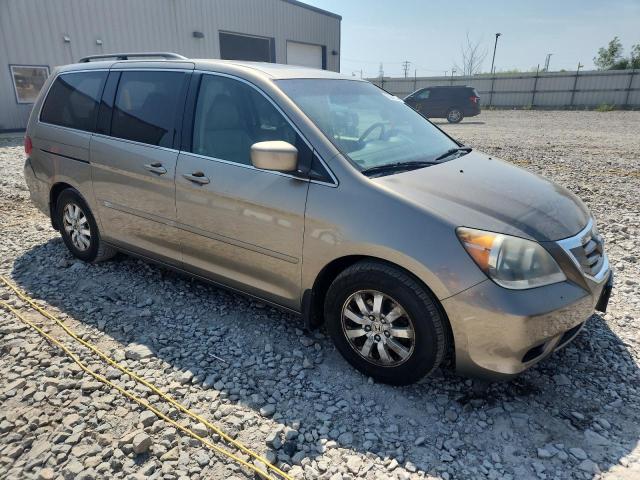 5FNRL38658B401436 - 2008 HONDA ODYSSEY EXL ყავისფერი ფოტო 4