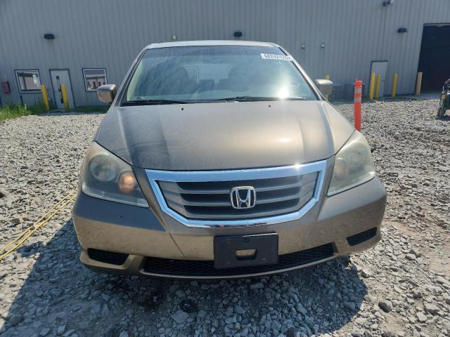 5FNRL38658B401436 - 2008 HONDA ODYSSEY EXL ყავისფერი ფოტო 5