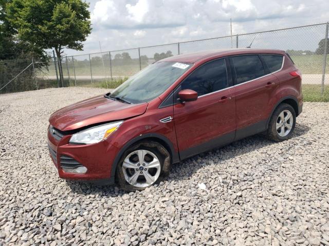2014 FORD ESCAPE SE, 