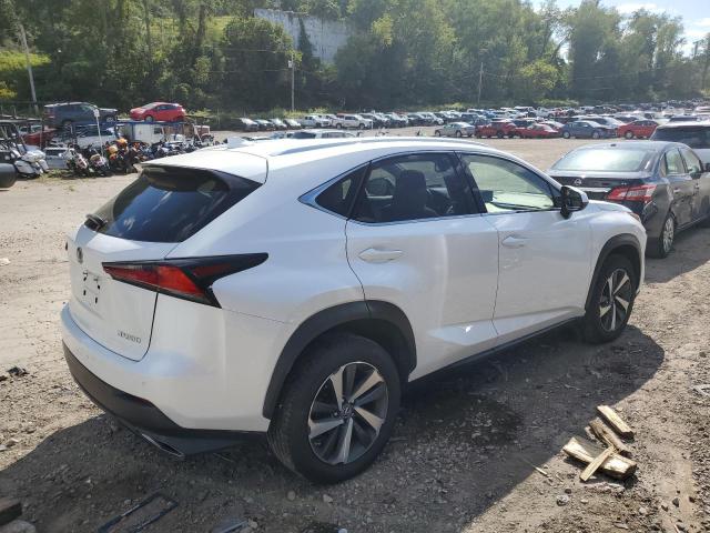 JTJBARBZ2J2162270 - 2018 LEXUS NX 300 BASE 白色 照片 3