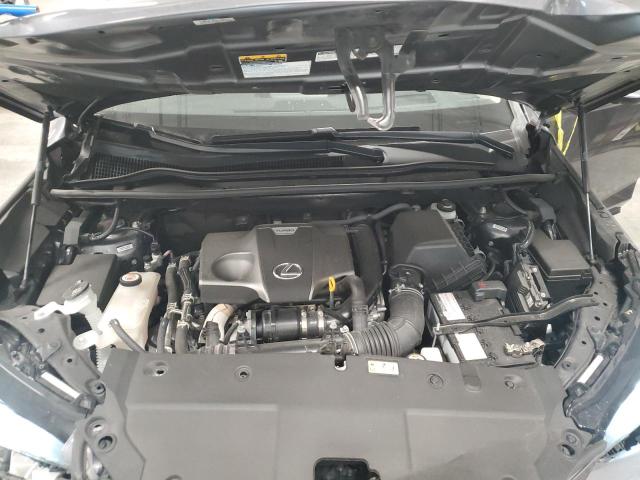 JTJHARDZXM2254562 - 2021 LEXUS NX 300 BASE Մոխրագույն լուսանկար 12