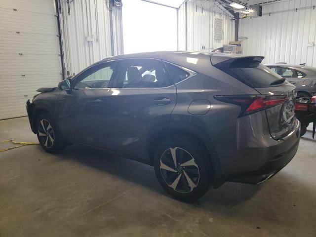 JTJHARDZXM2254562 - 2021 LEXUS NX 300 BASE Մոխրագույն լուսանկար 2