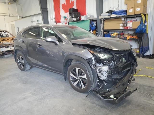 JTJHARDZXM2254562 - 2021 LEXUS NX 300 BASE Մոխրագույն լուսանկար 4