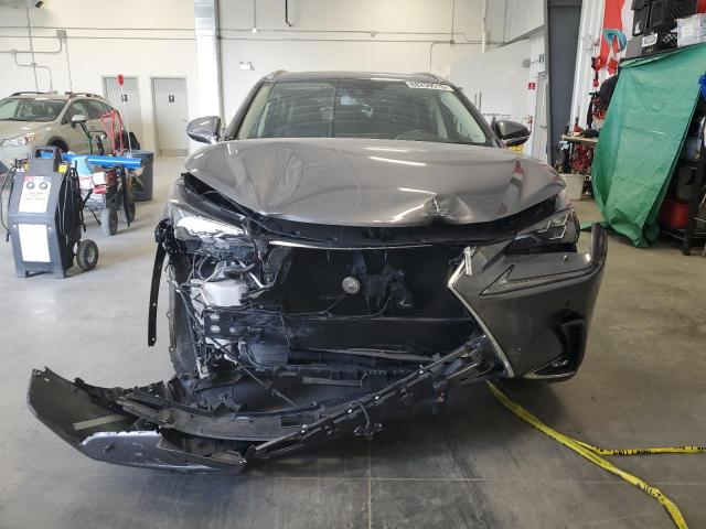 JTJHARDZXM2254562 - 2021 LEXUS NX 300 BASE Մոխրագույն լուսանկար 5