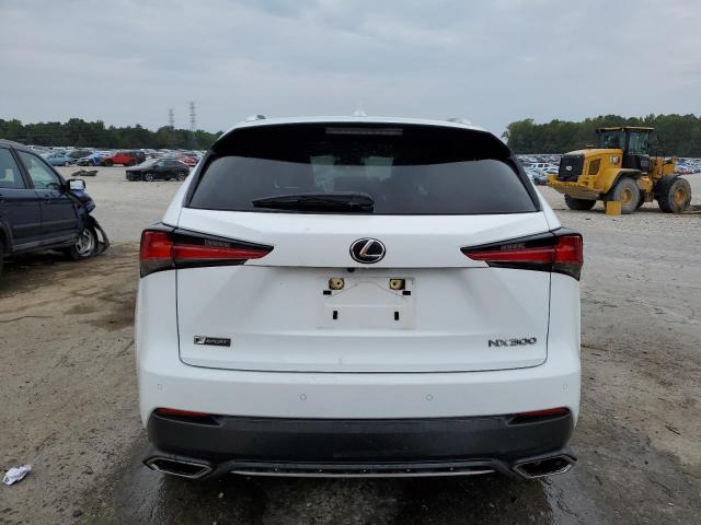 JTJSARDZ8M5026175 - 2021 LEXUS NX 300 BASE 白色 照片 6