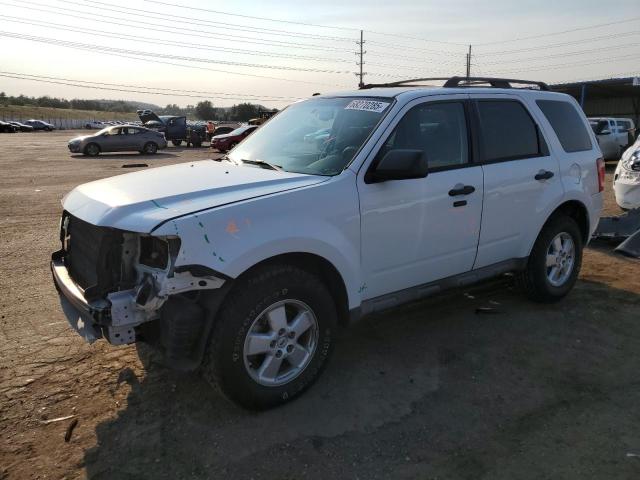 2009 FORD ESCAPE XLT, 