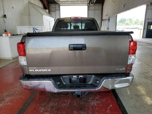 5TFCY5F1XAX010529 - 2010 TOYOTA TUNDRA DOUBLE CAB SR5 TAN photo 6