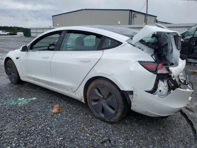 5YJ3E1EB7LF807717 - 2020 TESLA MODEL 3 Ağ foto 2