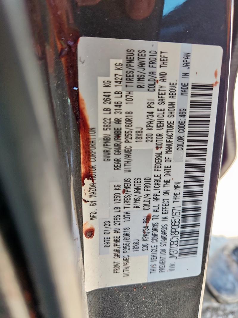 JM3TCBCY8P0651671 - 2023 MAZDA CX-9 TOURING Графитовый фото 13