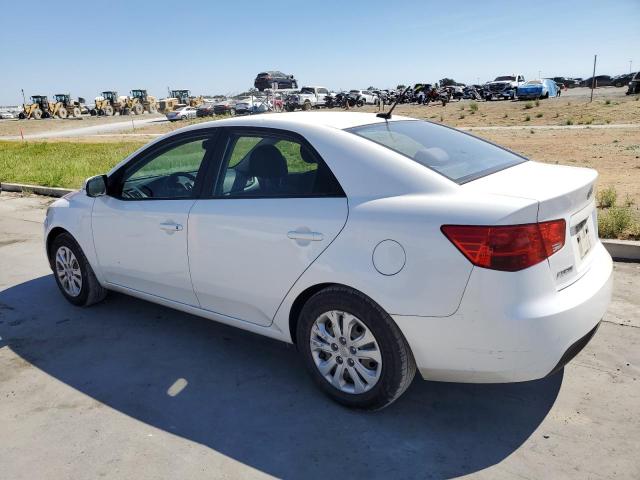KNAFU4A28C5599773 - 2012 KIA FORTE EX 白色 照片 2