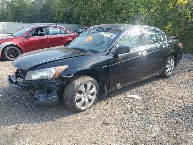 2010 HONDA ACCORD EXL, 
